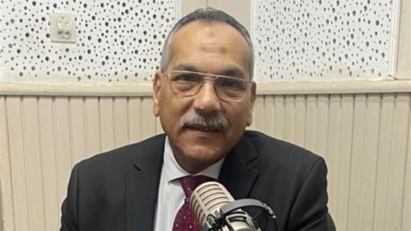 المهندس محمد شيرين شحاتة