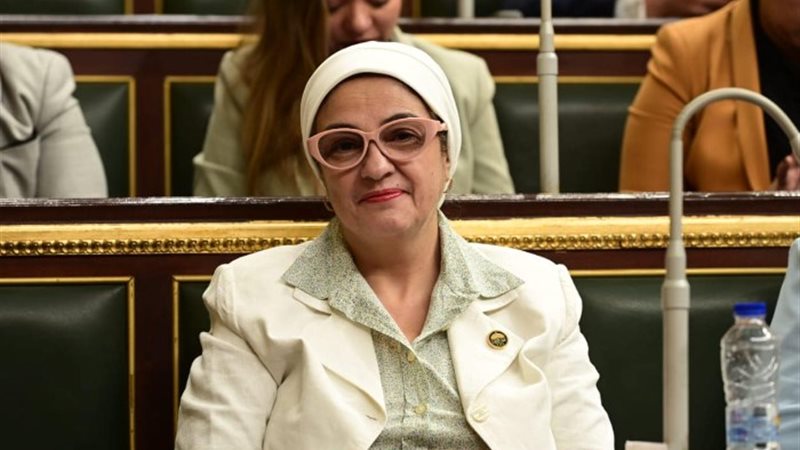 النائبة سميرة الجزار