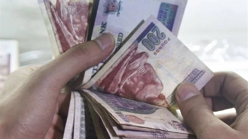 صرف مرتبات شهر نوفمبر 2024