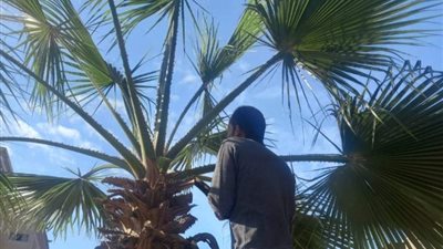 الغربية تستعيد الوجه الحضارية، وسط الدلتا تطلق حملات نظافة مكثفة