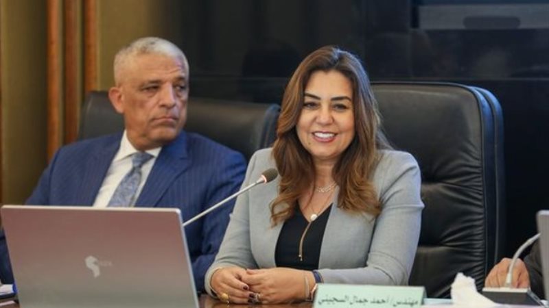 وزيرة التنمية المحلية