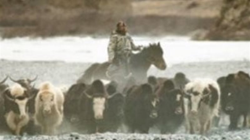 فيلم إقليم