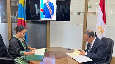 وزير الخارجية يناقش قضية المياه مع نظيرته في الكونغو الديموقراطية