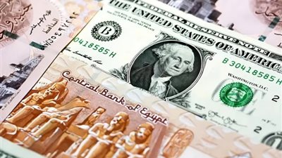 ماذا حدث في أسعار الدولار بعد قرار البنك المركزي تثبيت سعر الفائدة؟