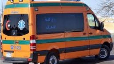 القبض على سائق دهس طالبة في كرداسة