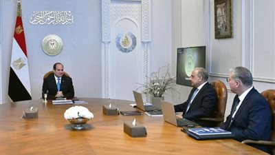 الضبعة النووي والربط الكهربائي، أولويات خطة عمل الرئيس السيسي الحكومية