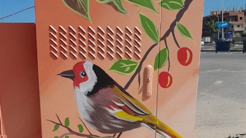 الرسم علي اكشاك الكهرباء