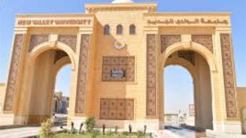 جامعة الوادي الجديد