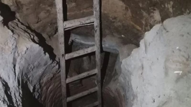 تنقيب أرشيفية