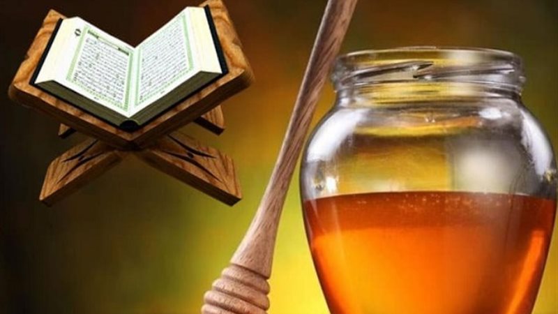فوائد العسل في مهرجان العسل المصري