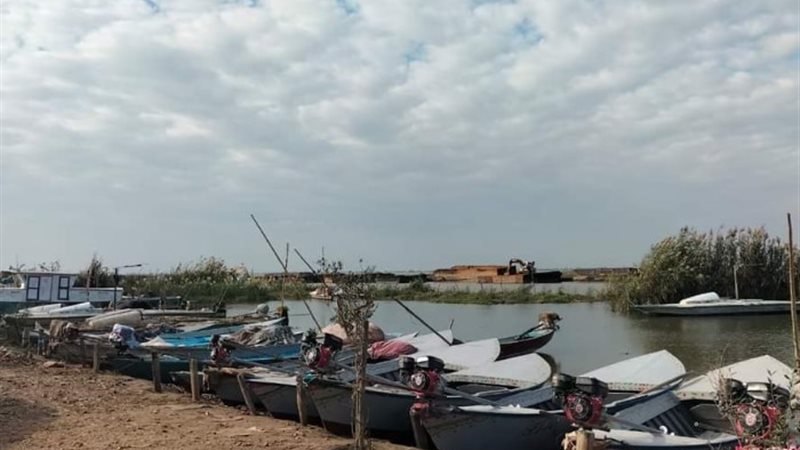 جانب من الفعاليات
