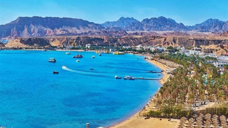 التعاون بين مصر وقطر