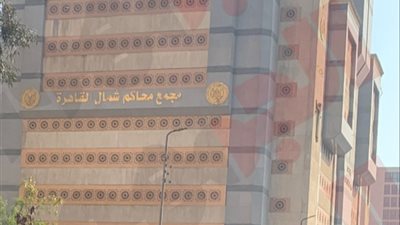 دفاع المتهم بقتل نجل صاحب قهوة أسوان: الواقعة كانت مشاجرة وموكلي لم يتعمد قتله