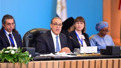 وزير الخارجية: مصر تعمل بشكل مكثف مع كافة الأطراف العربية بشأن الأزمة السورية