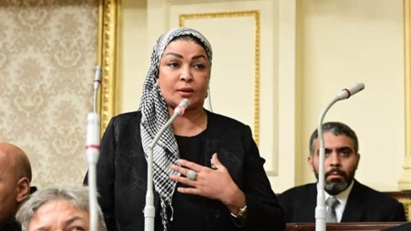 الدكتورة ألفت المزلاوي عضو مجلس النواب