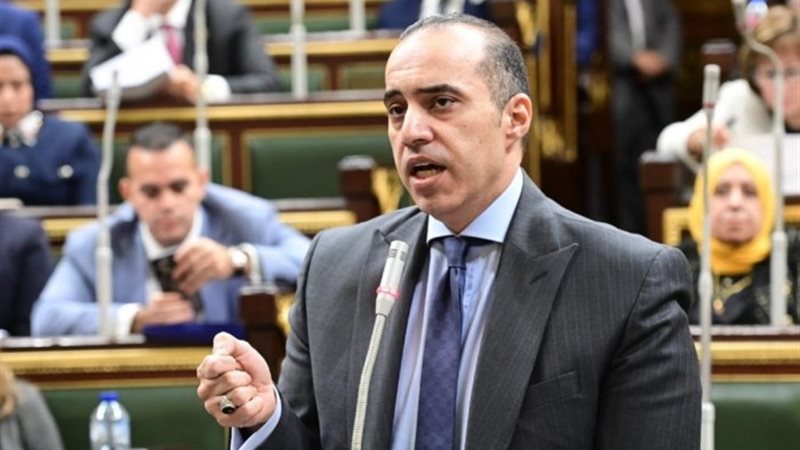 المستشار محمود فوزي