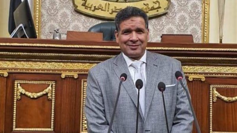 النائب عصام العمدة