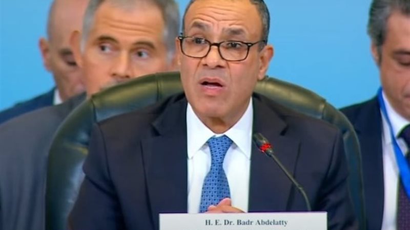 وزير الخارجية والهجرة، الدكتور بدر عبد العاطي