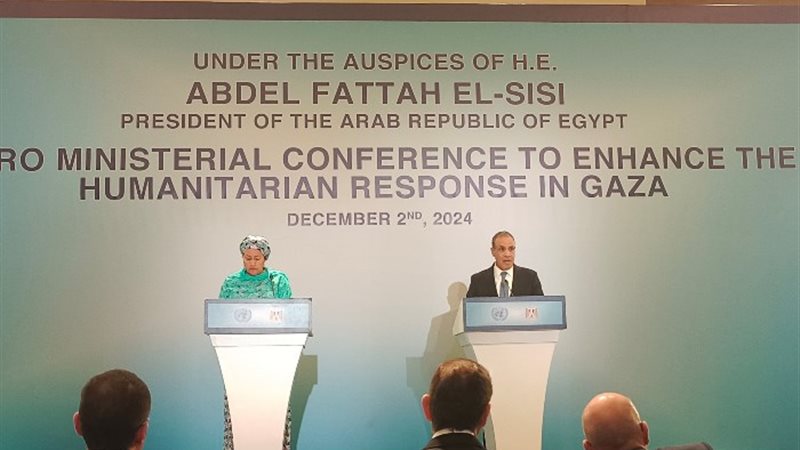 وزير الخارجية والهجرة، الدكتور بدر عبد العاطي