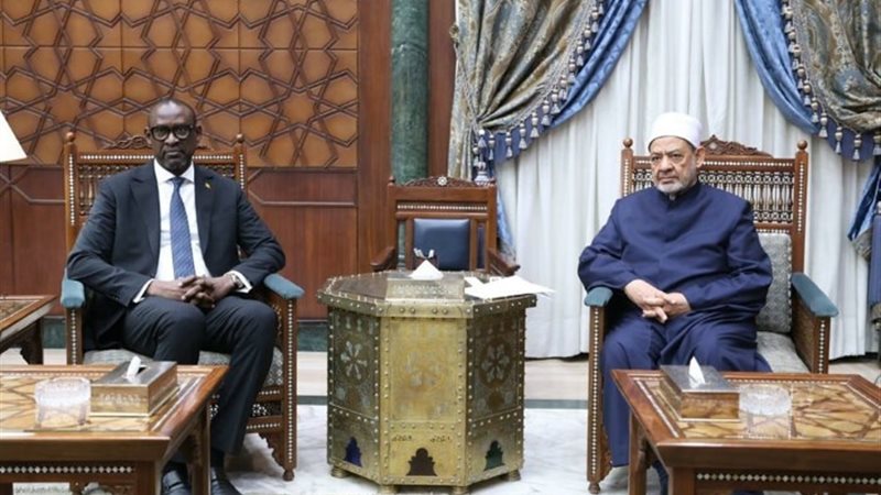شيخ الأزهر و وزير خارجية مالي