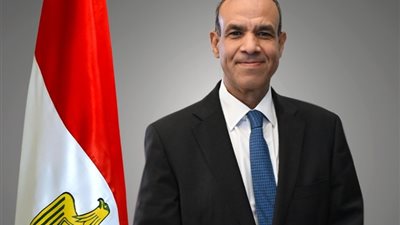 وزير الخارجية: كل ما يشغل مصر هو وقف الحرب وعودة الأمن والاستقرار للسودان
