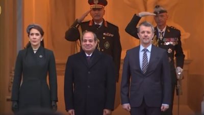 الرئيس السيسي يلتقي ملك الدنمارك في مستهل زيارته إلى كوبنهاجن (فيديو)