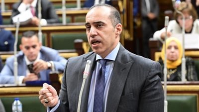 المستشار محمود فوزي: إعادة تفعيل لجنة العفو السياسي تأكيد على أجواء الانفتاح