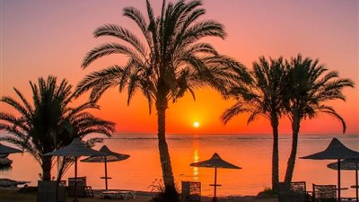بعد وصول 15 ألف سائح اليوم، انتعاشه كبيرة للسياحة في البحر الأحمر