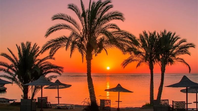 مرسى علم، مصر