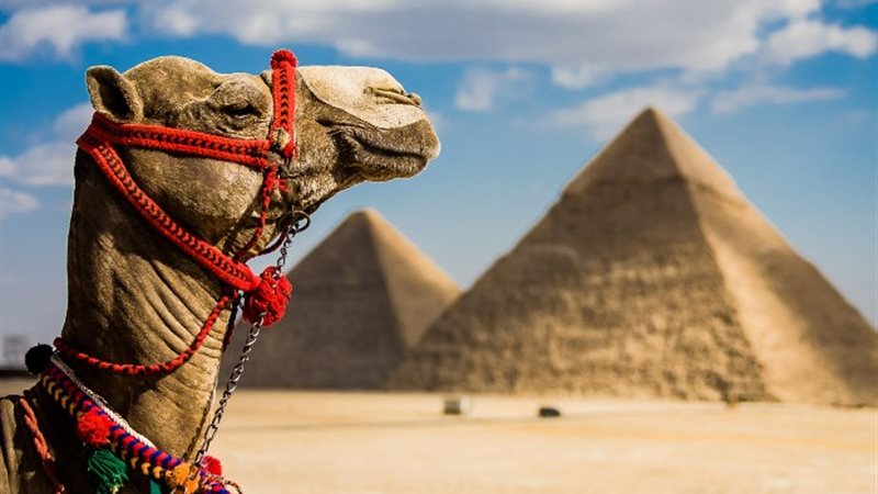 السياحة في مصر
