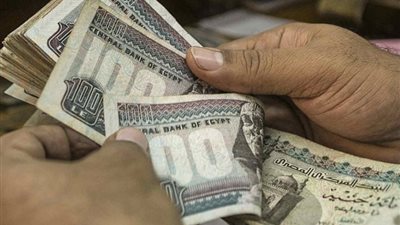 6 حالات يجوز فيها الجمع بين معاشين ومعاش وراتب، تعرف عليها