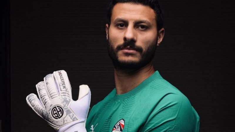 محمد الشناوي