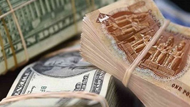التحديث الأخير لسعر الدولار مقابل الجنيه المصري