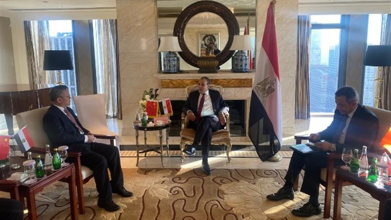 وزير الخارجية والهجرة يلتقي بالرئيس التنفيذي لـ