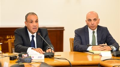 وزير الخارجية يعقد لقاء موسعا مع ممثلي وسائل الإعلام الأجنبية المعتمدة بمصر