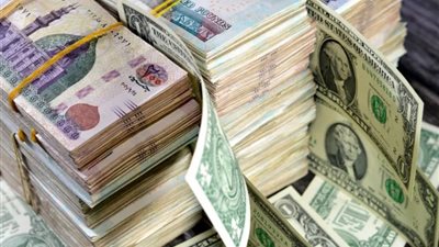 سعر الدولار مقابل الجنيه المصري يسجل انخفاضا مفاجئا في البنوك