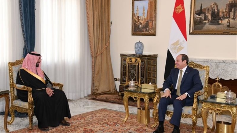 الرئيس عبد الفتاح السيسي