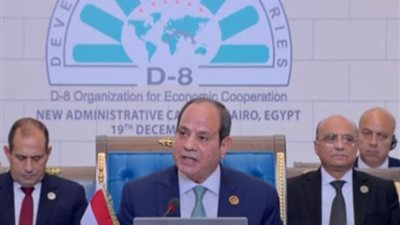 الرئيس السيسي: تخصيص جلسة لقضيتي فلسطين ولبنان في قمة الدول الثماني النامية