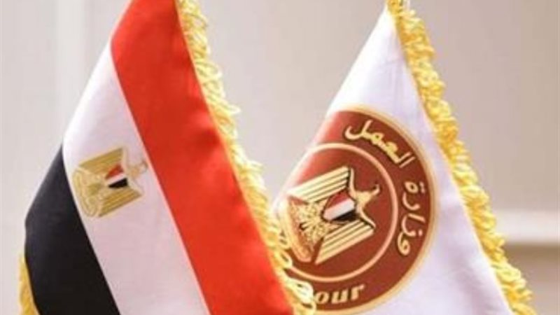وزارة العمل