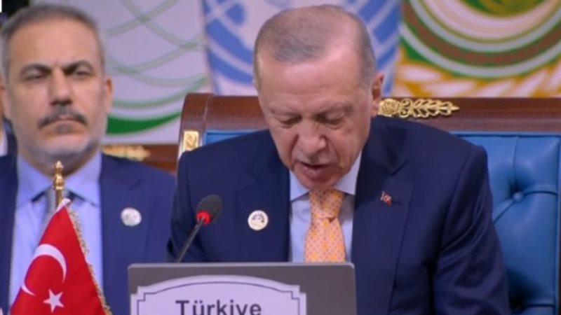 الرئيس التركي رجب طيب أردوغان