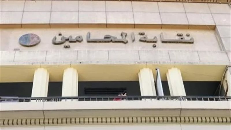 القضاء الأداري