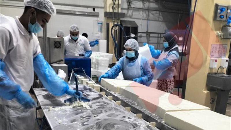 جانب من الجولة داخل أكبر مصنع ألبان بالعالم بمحافظة دمياط