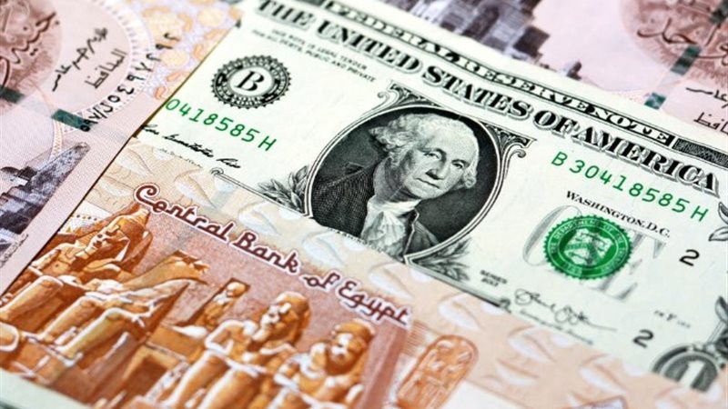 سعر الدولار مقابل الجنيه المصري اليوم