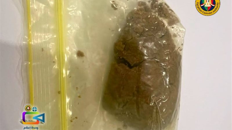الجمارك المصرية