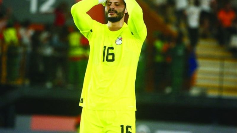 محمد الشناوي