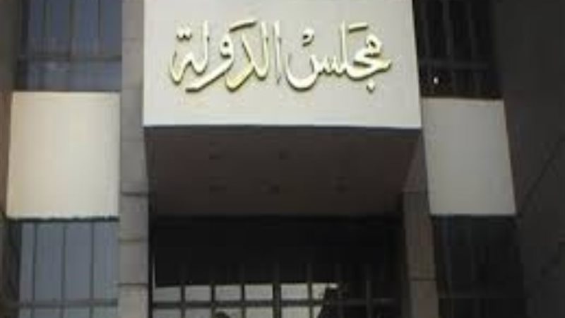 مجلس الدولة -أرشيفية