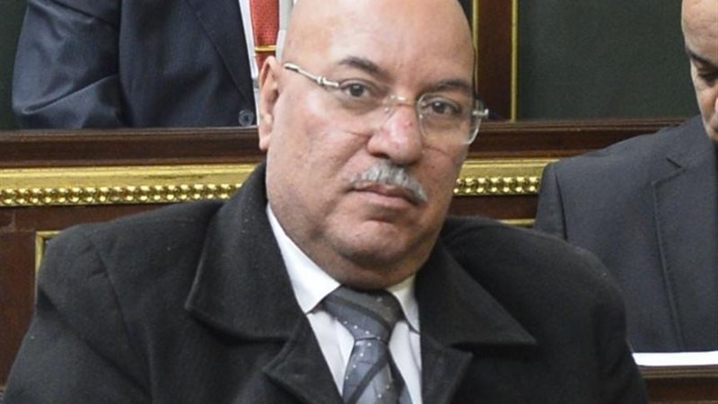 النائب عصمت زايد