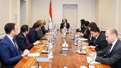 لهذا السبب وزير الخارجية يؤكد على تكثيف الأنشطة الثقافية للسفارات المصرية