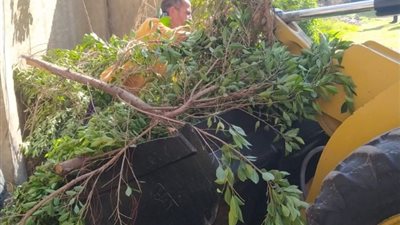 رفع 2 طن مخلفات في حي وسط بالإسكندرية (صور)
