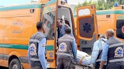 مصرع سيدة بمركز إيتاي البارود صدمتها سيارة على الطريق